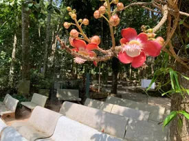 57