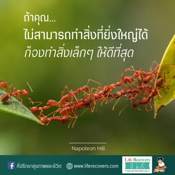 LINEALBUMภาพคำคมLR๒๒๐๘๑๒98