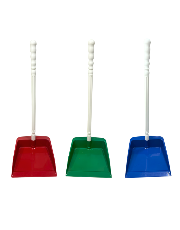 1ปก