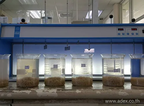 adex2