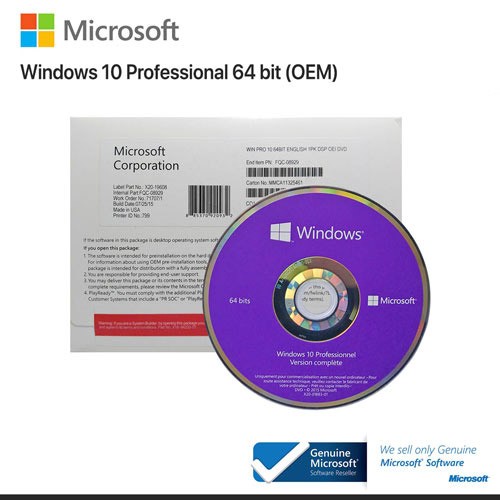 MICROSOFT WINDOWS 10 PRO (OEM)