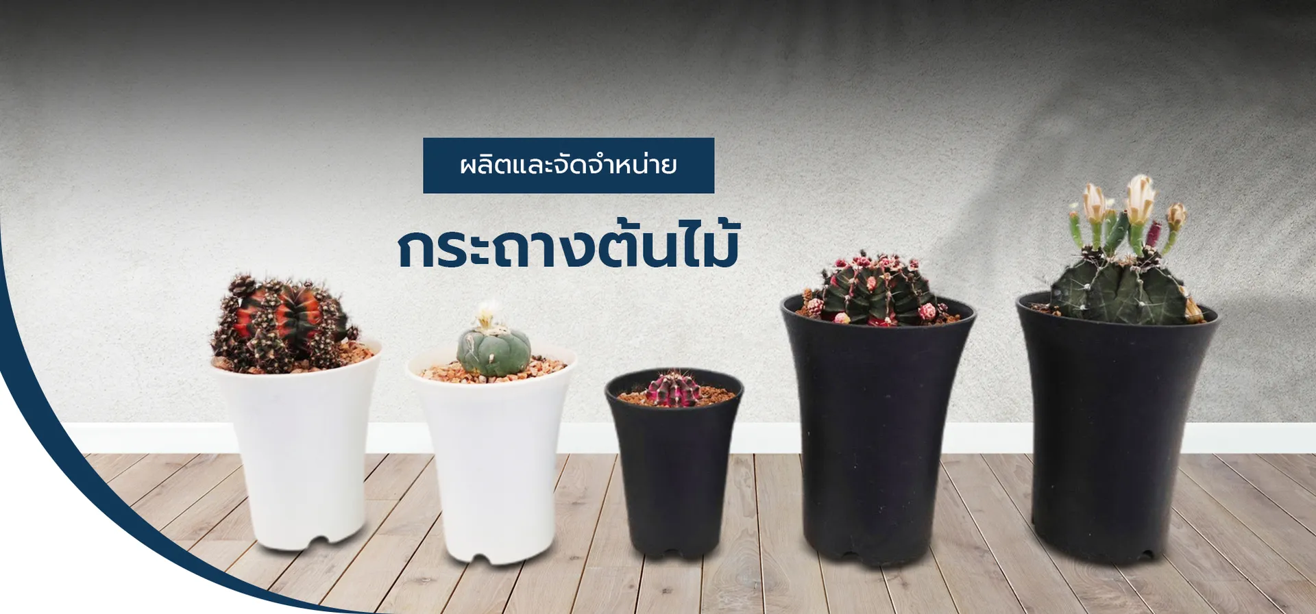thitipackage(7)