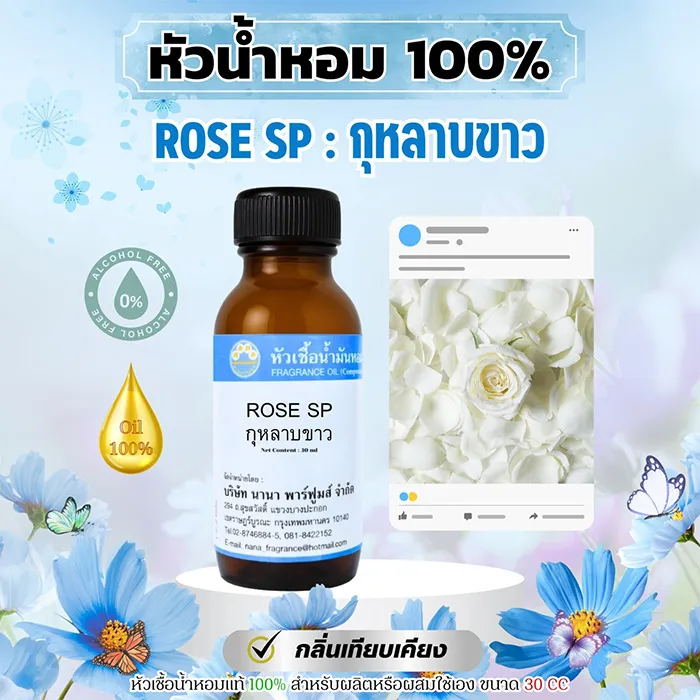 1-Rose-SP---กุหลาบขาว