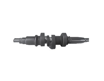 7-Fuel-camshaft