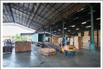 woodpic11