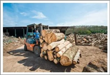 woodpic12