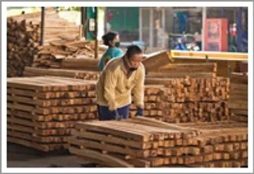 woodpic4