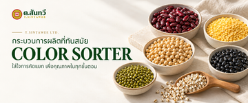 Bannerตสินทวี02