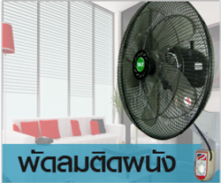 fan5