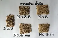 รูปภาพ11