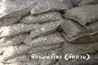 รูปภาพ1