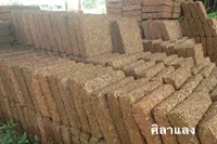 รูปภาพ4