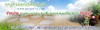 banner-ทรายล้าง