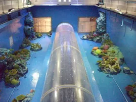 WaterLeakedRepair2
