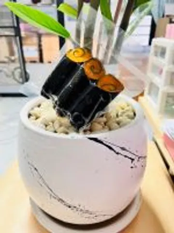ม้วนไข่