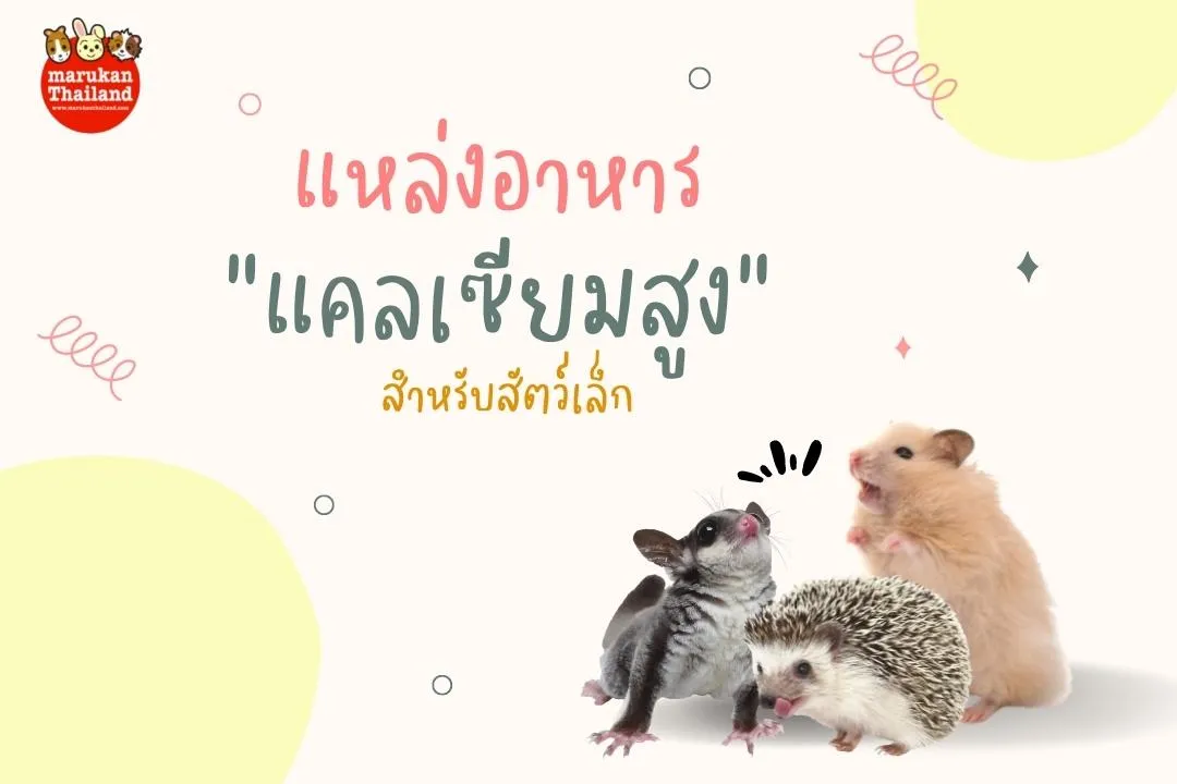 รวมปก(1)