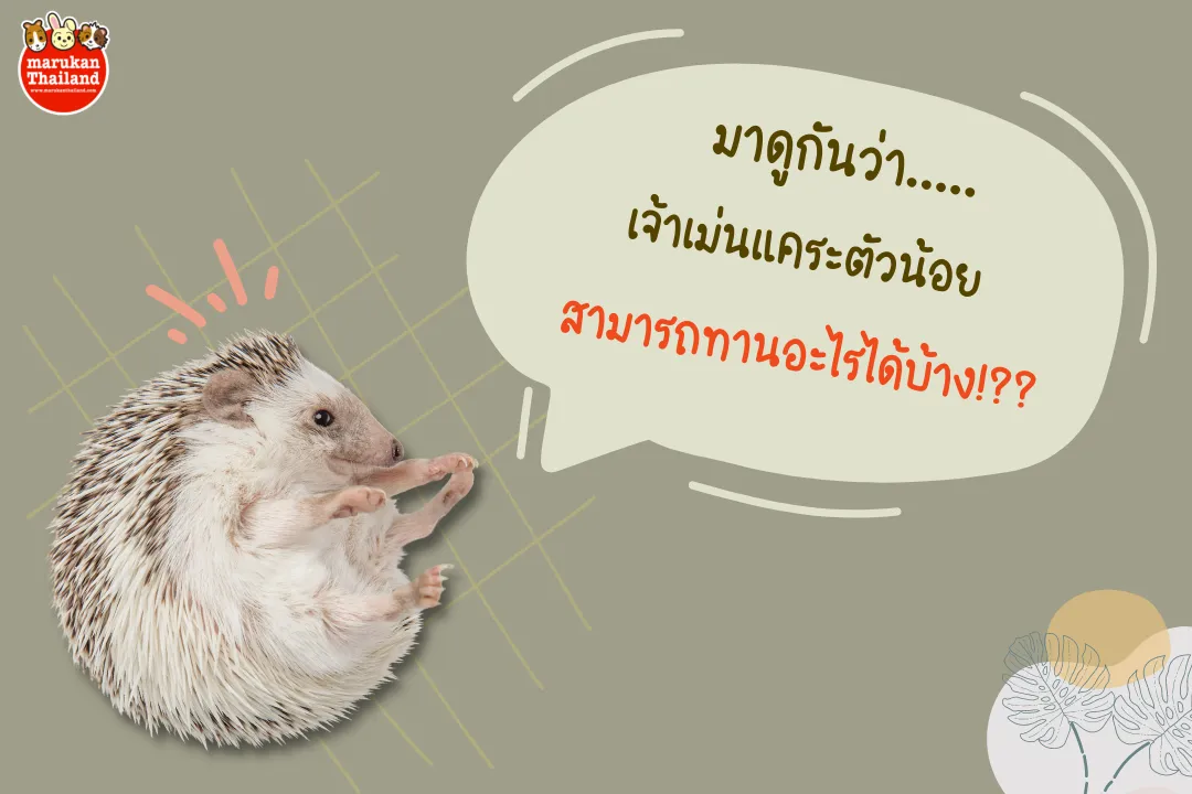 รวมปก(5)