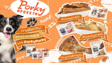 WEbPORKY