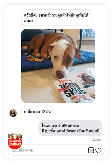 marukanthailand-review4