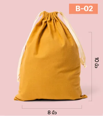 Bag-02-100