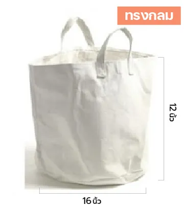 ทรงกลม-100