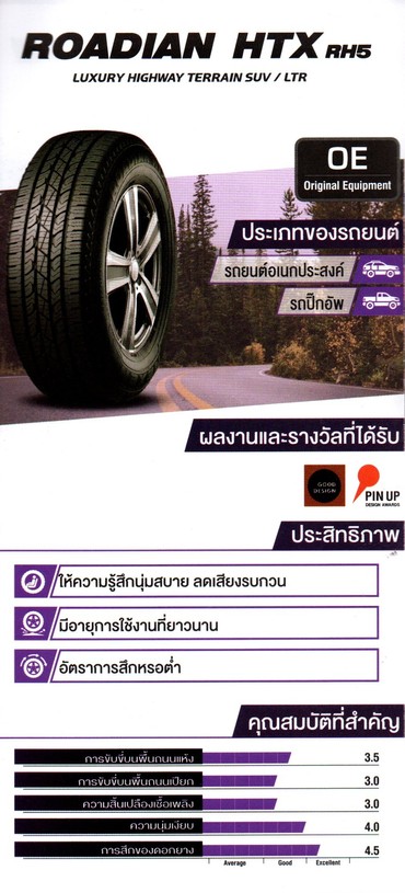 NEXEN5ROADIANHTX800