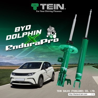1TEIN104012KBYDDOLPHINKK