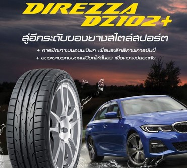 2DLDZ10231110A
