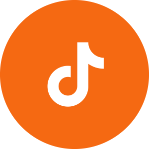 tiktok(2)