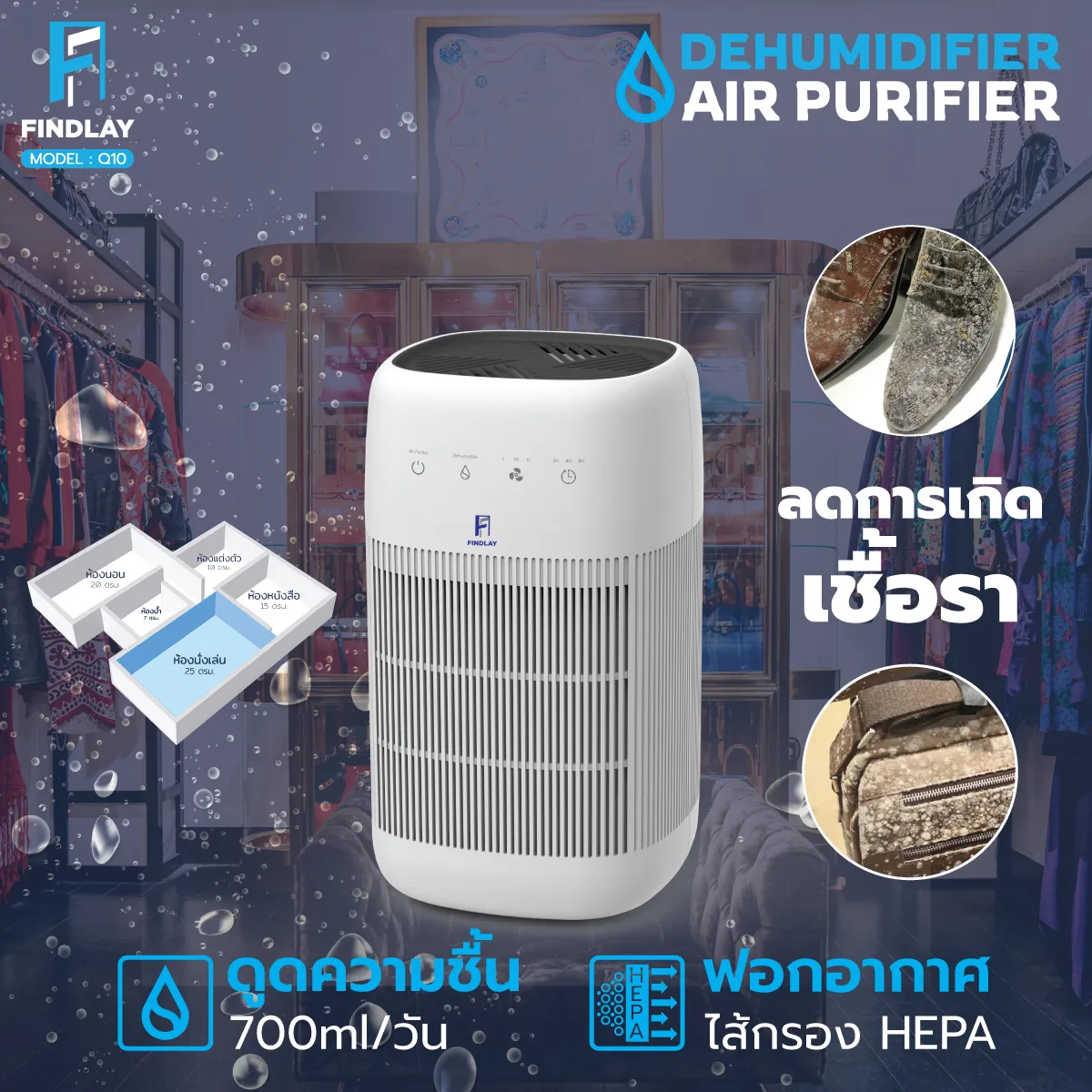 700ml FINDLAY Q10