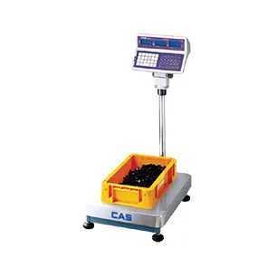 sccenterscale-product5