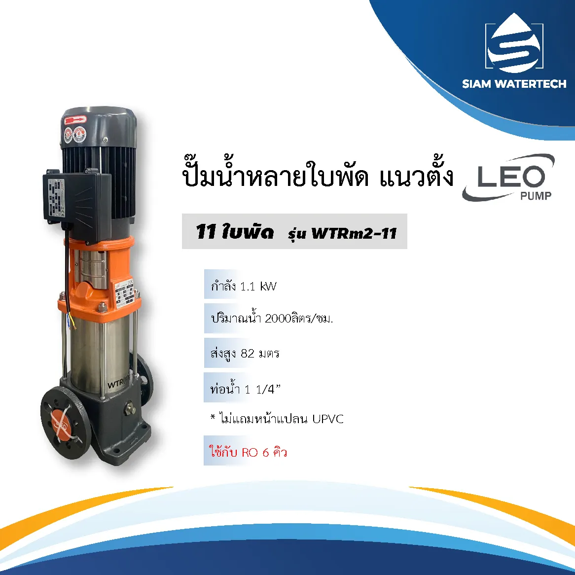 LEO
