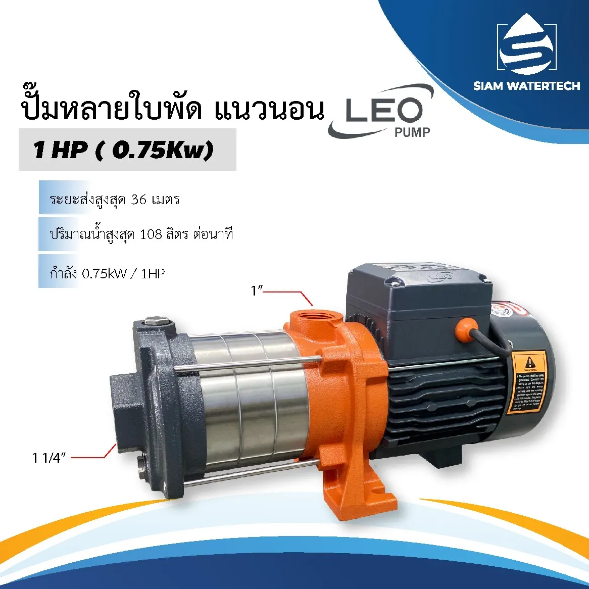 LEO