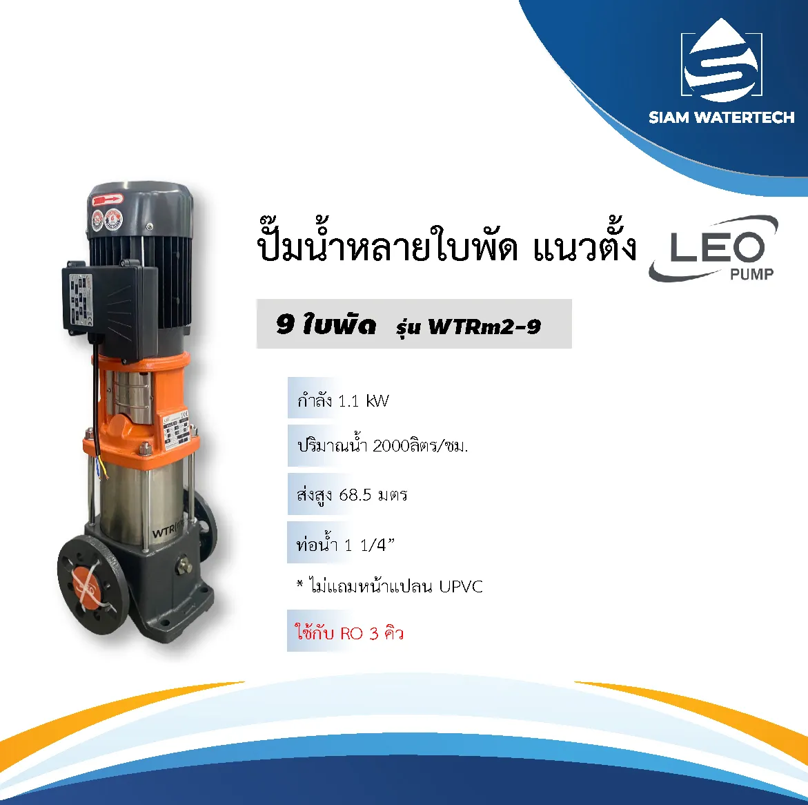 LEO