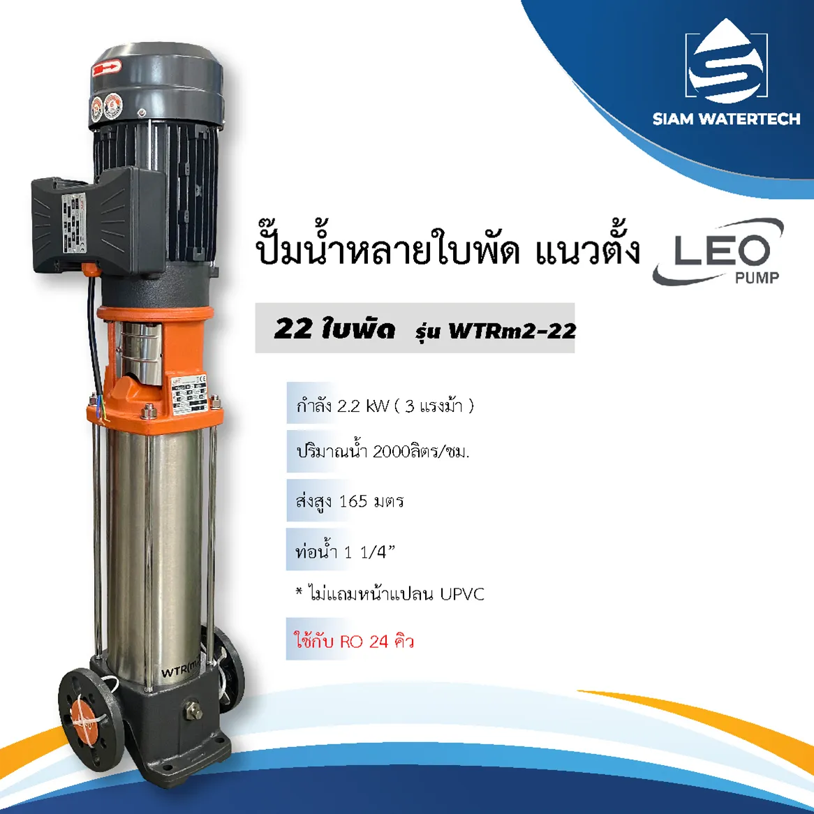 LEO