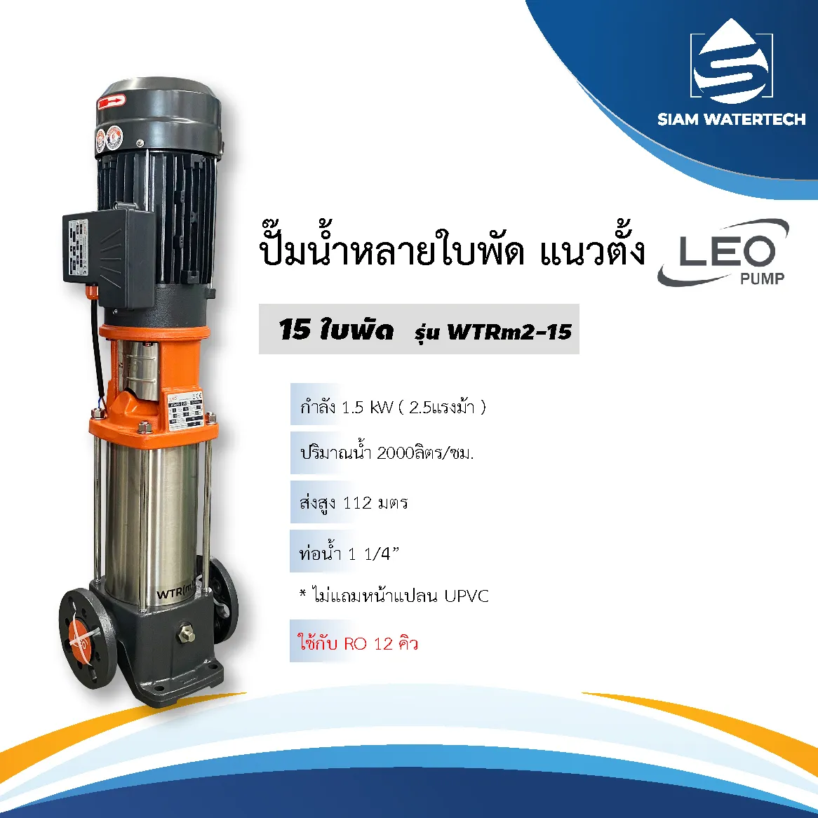 LEO