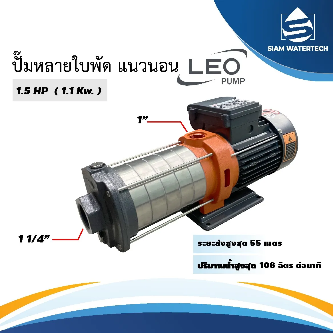 LEO