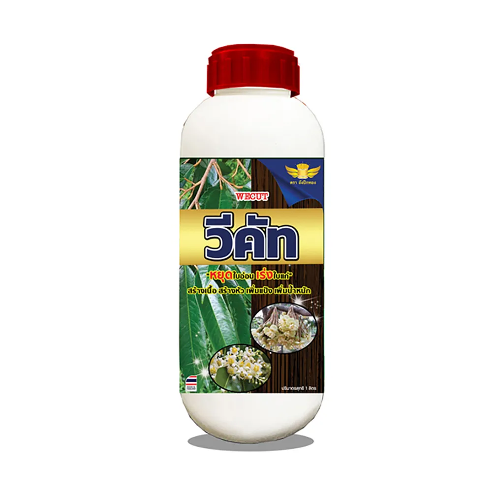 วีศัท