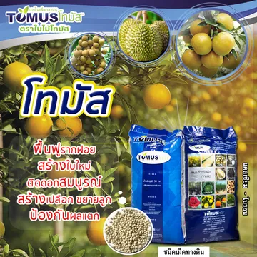 FBโทมัสส้มเขียวหวาน