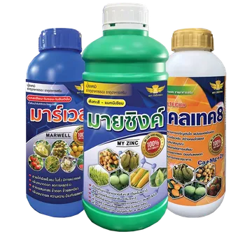 ฟอร์มูล่า19-3-32-removebg-preview