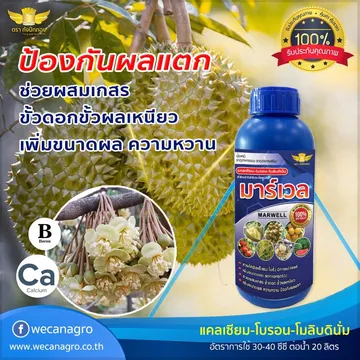 รีวิวwecanagro(1)
