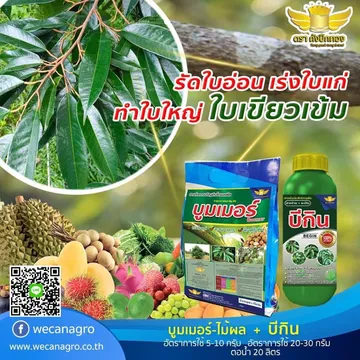 รีวิวwecanagro(2)