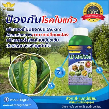 รีวิวwecanagro(4)