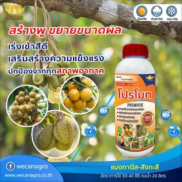 รีวิวwecanagro(5)