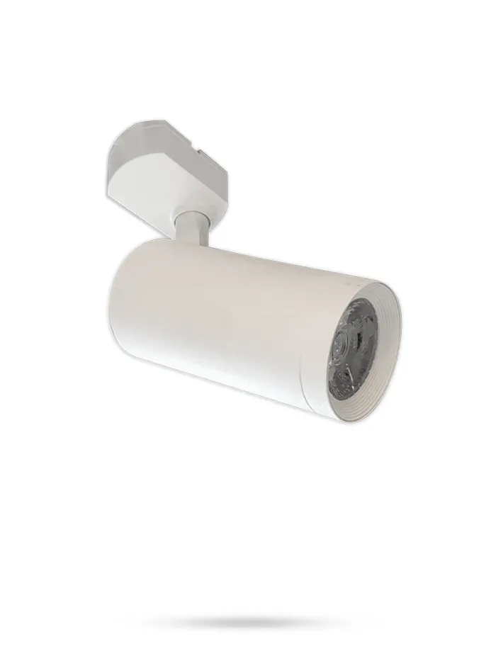 890081-24W-WH
