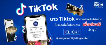 Web-PmTiktok1920x825