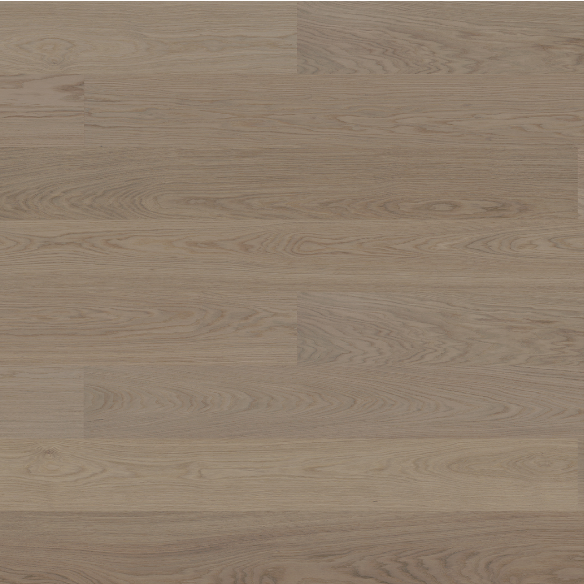 BJELIN347067-GRYBY
