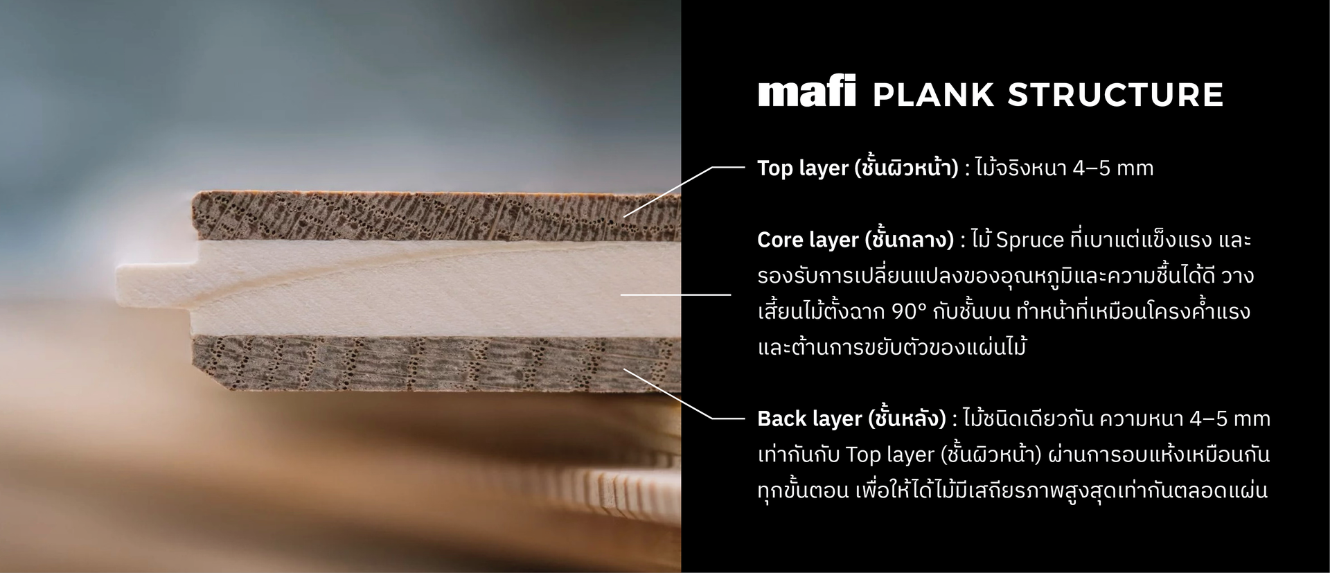 MAFIwebsite-04