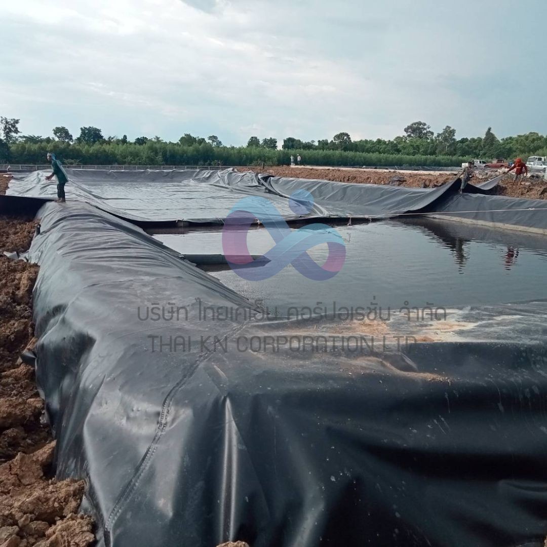 งานคลุมบ่อแก๊สชีวภาพHDPE1mm1