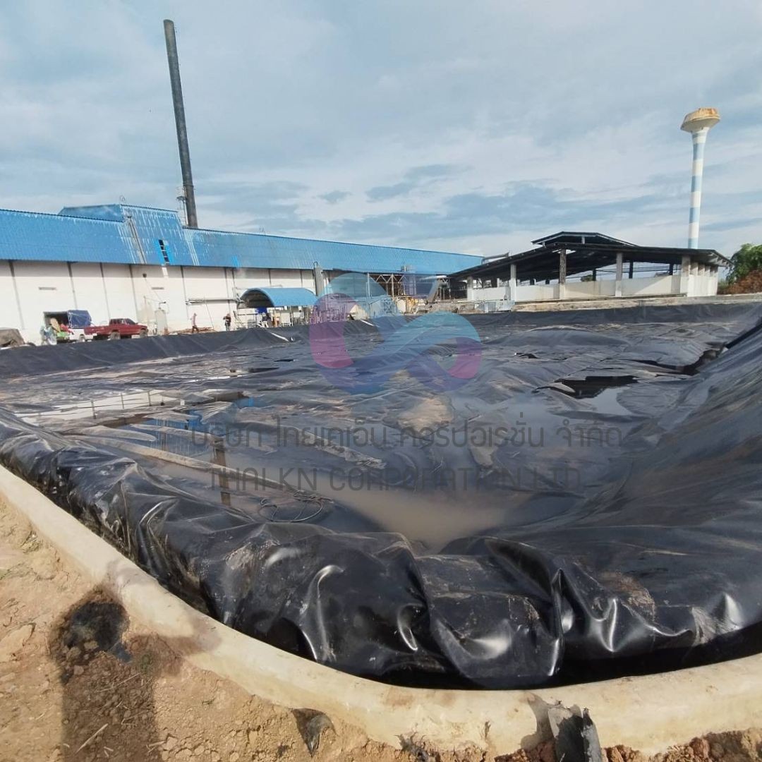 งานคลุมบ่อแก๊สชีวภาพHDPE1mm3